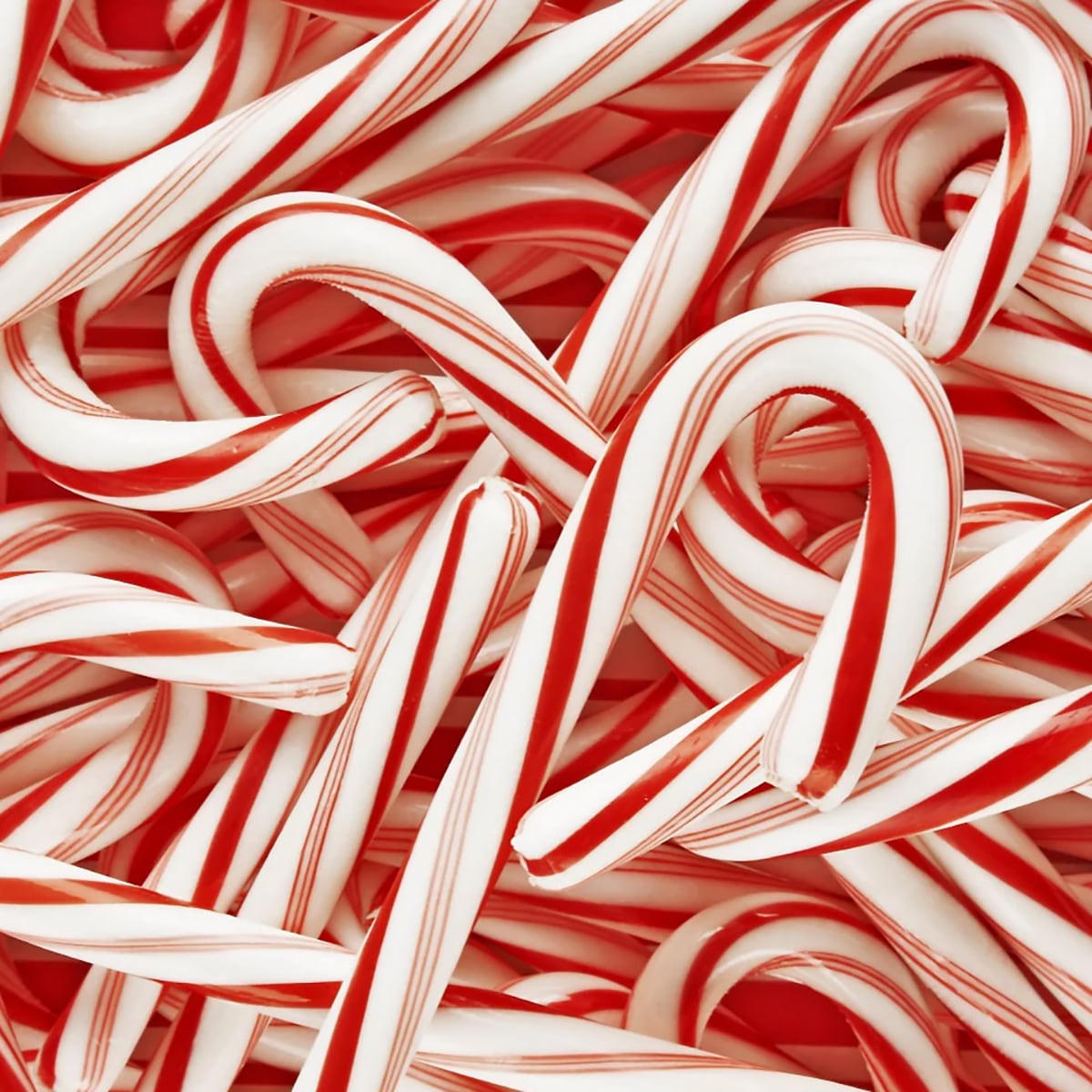 NOVA SCOTIA FISHERMAN ノバスコシア・フィッシャーマン CANDY CANE MINT キャンディケインソープ (季節限定)