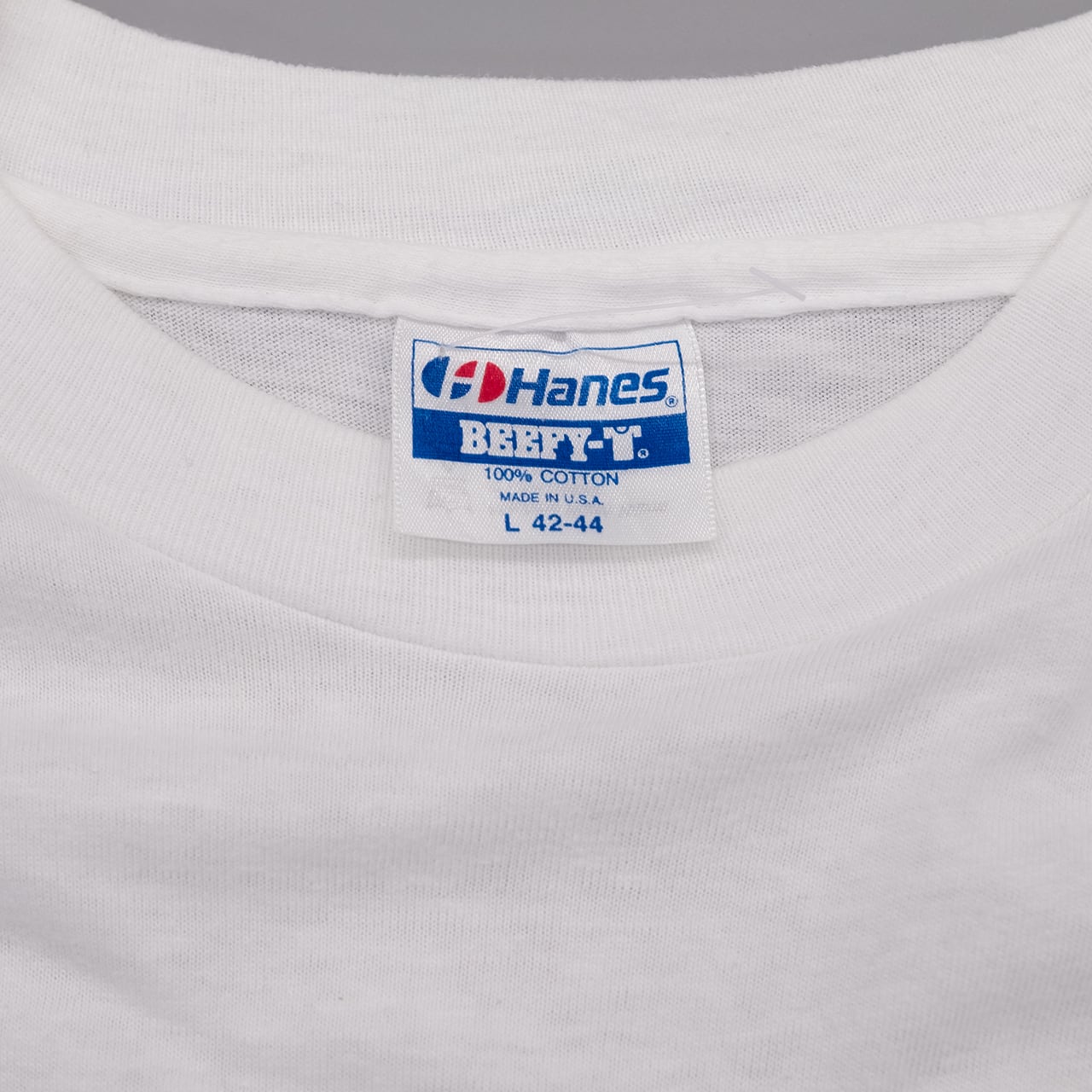 【USED】90s Hanes BEEFY-T "Brigadoon" Fantasy Fish Print T USA製