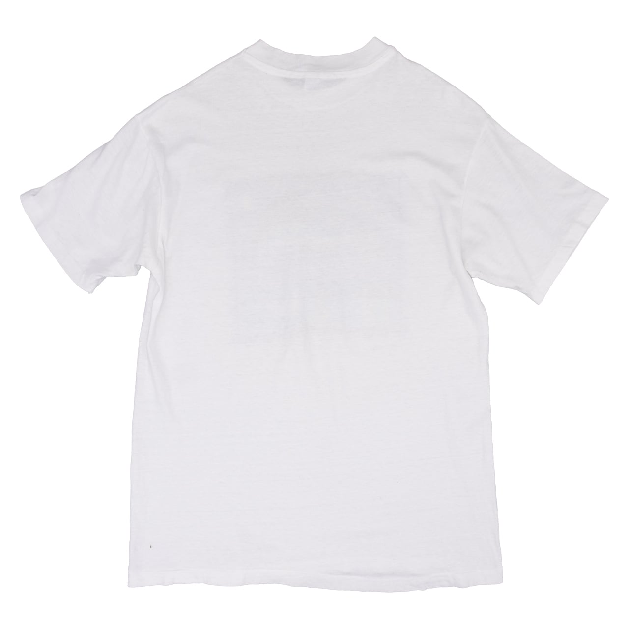 【USED】90s Hanes BEEFY-T "Brigadoon" Fantasy Fish Print T USA製