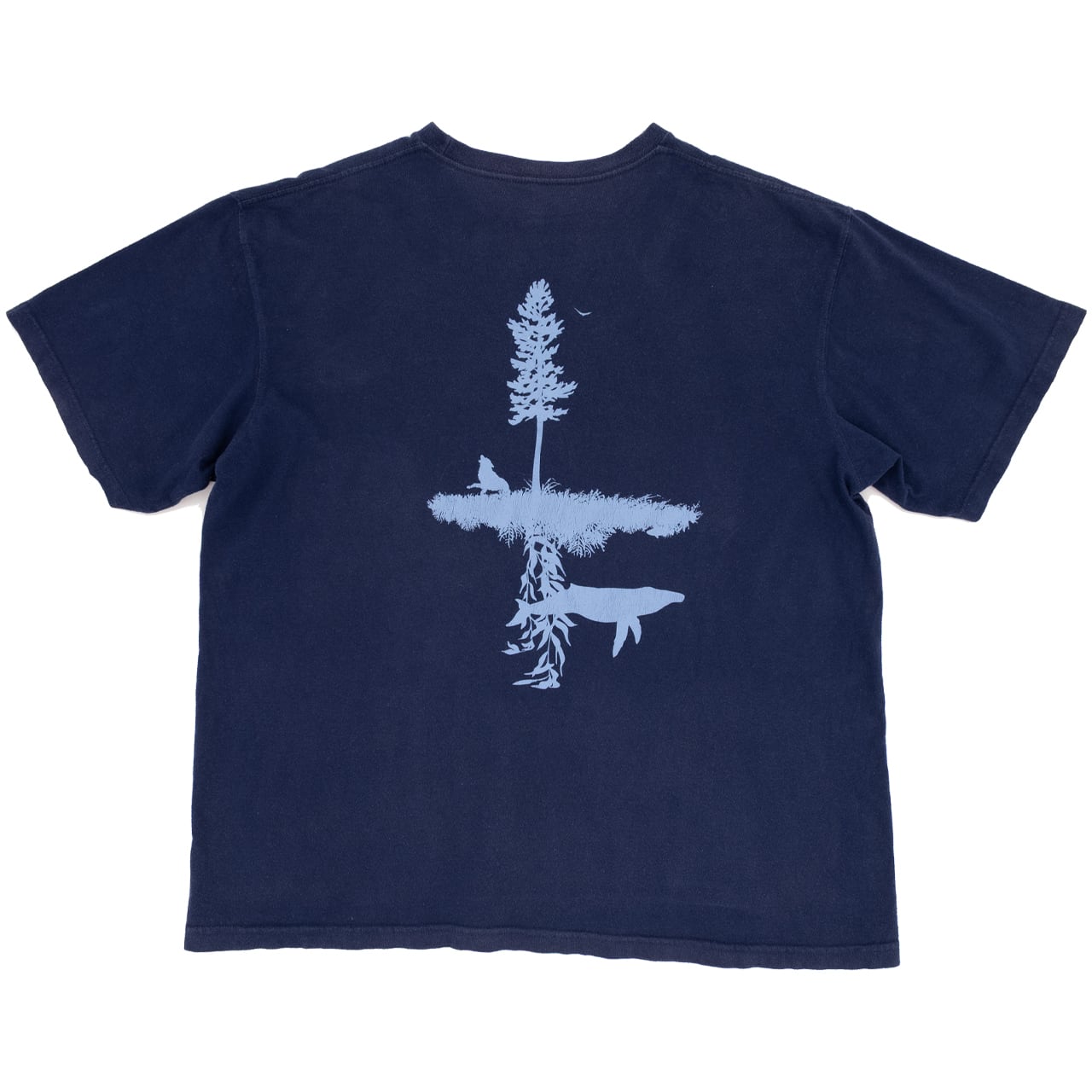 【USED】00s Patagonia Navy Nature Reflection Graphic T-Shirt パタゴニア バックプリントTシャツ