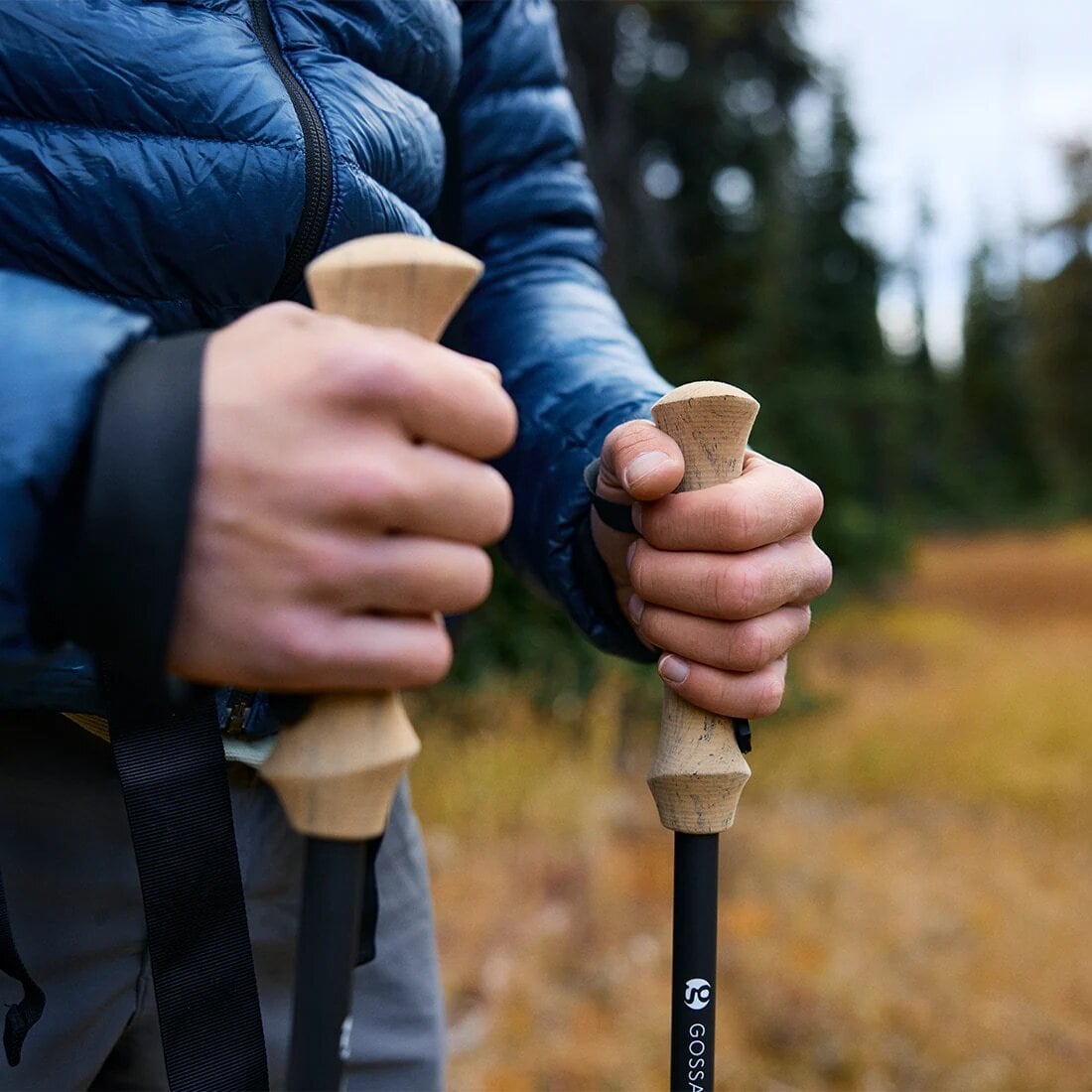 GOSSAMER GEAR ゴッサマーギア LT5 Three Piece Carbon Trekking Poles (pair) トレッキングポール