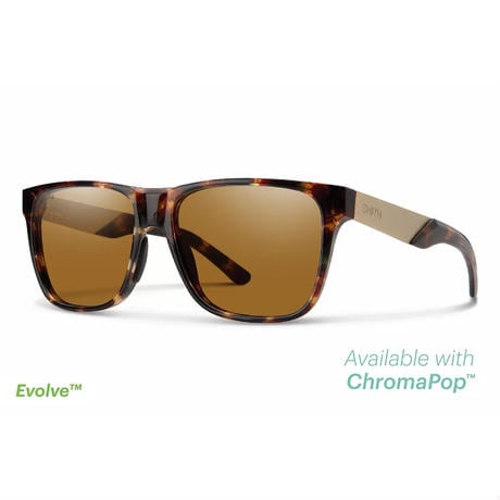 SMITH｜Lowdown Steel Dark Tort（ChromaPop Polarized Brown）