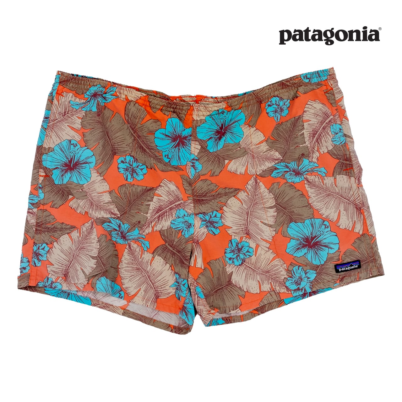 【USED】Patagonia Baggies Shorts (Tropical Print) パタゴニア バギーズ・ショーツ (トロピカルプリント)